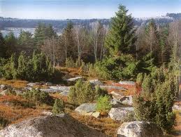 stažený soubor (3)